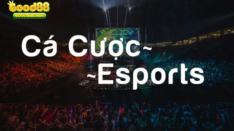 Đặt cược đa dạng