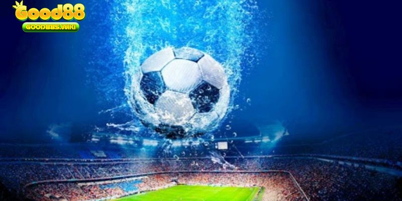 Chọn cho mình địa chỉ cá cược uy tín để mức độ rủi ro giảm xuống 