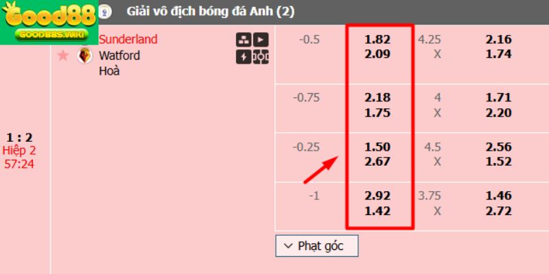 Odds là gì? Hiểu đơn giản là tỷ lệ kèo cá cược