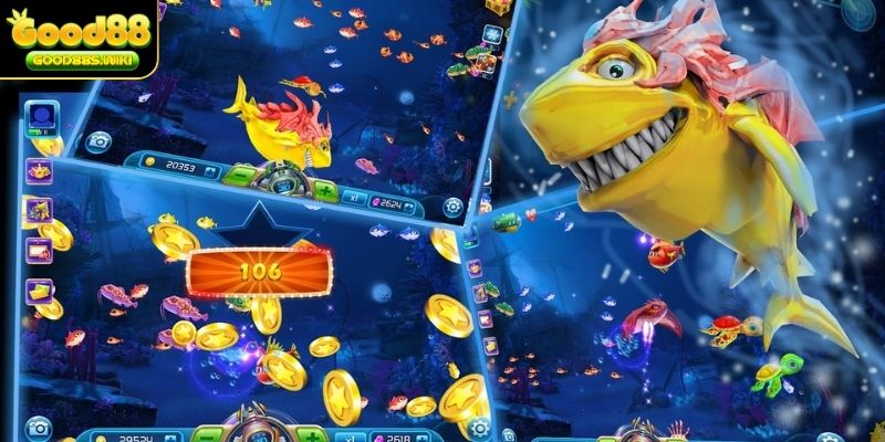 Ngư thủ lên chiến lược săn cá trung bình hiệu quả