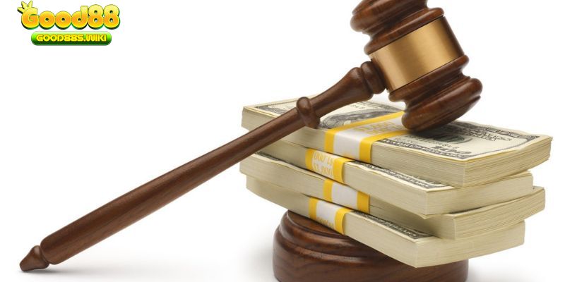 Người tham gia tổ chức đá gà Việt có thể bị phạt hành chính hoặc đi tù tùy mức độ