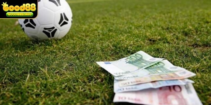 Xây dựng nền tảng cá độ trực tuyến uy tín để kiếm tiền